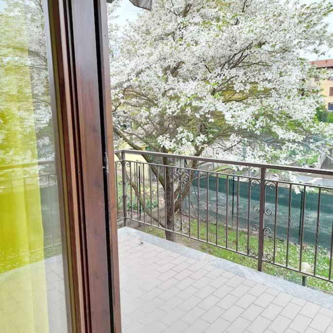 Il Vecchio Kiwi - House With Private Garden Oleggio Castello Exterior foto