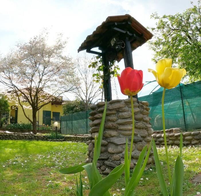 Il Vecchio Kiwi - House With Private Garden Oleggio Castello Exterior foto