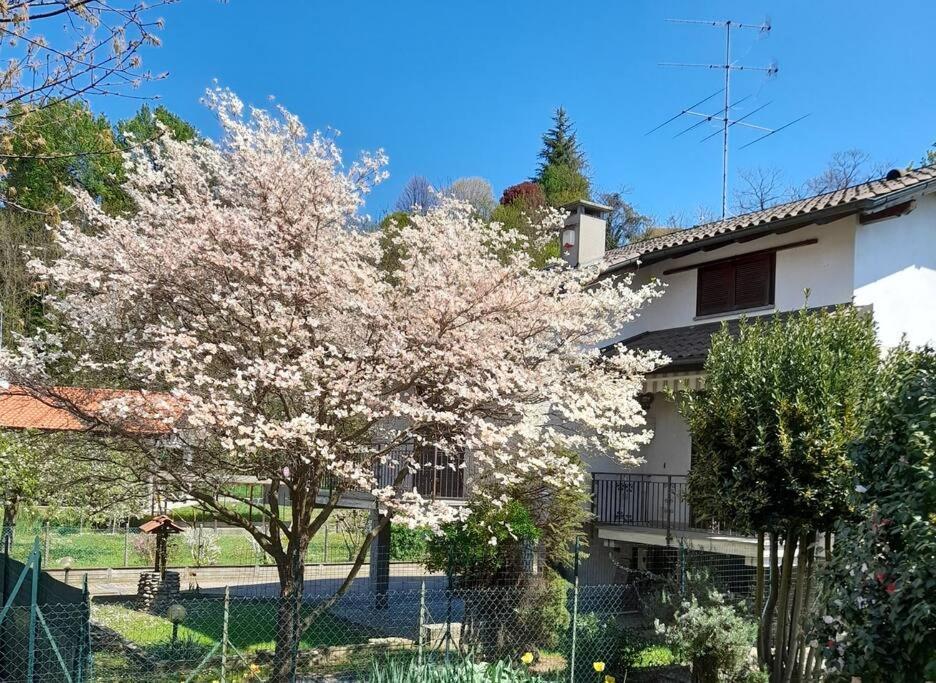 Il Vecchio Kiwi - House With Private Garden Oleggio Castello Exterior foto