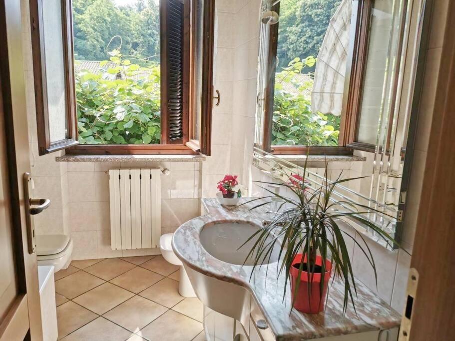 Il Vecchio Kiwi - House With Private Garden Oleggio Castello Exterior foto