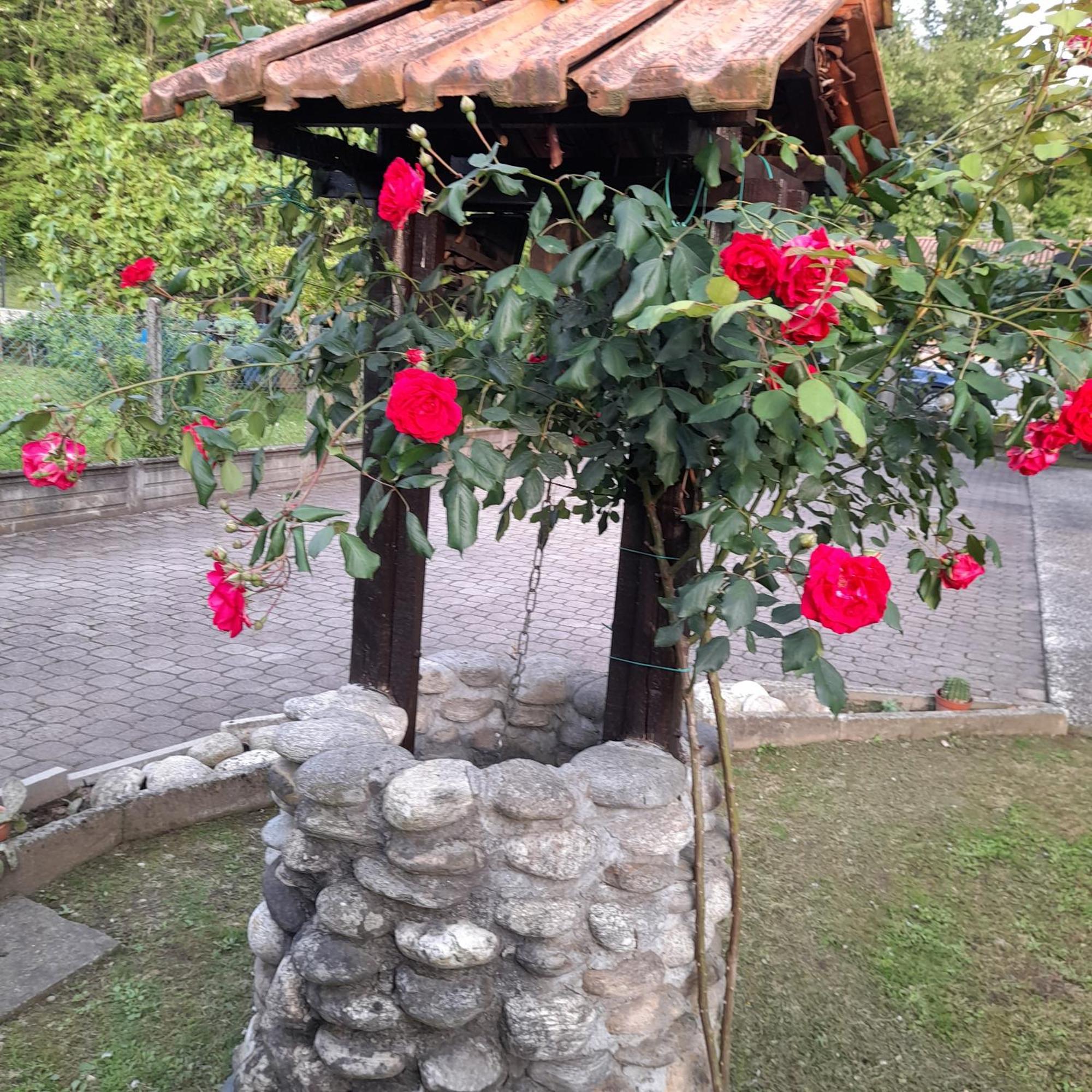 Il Vecchio Kiwi - House With Private Garden Oleggio Castello Exterior foto
